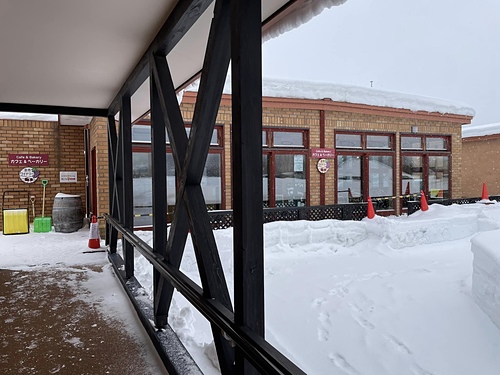 2023北海道20 (20).jpg - 2023日本旅遊