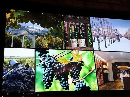 20170428德國不喝麗絲玲 (1).jpg - 2017年品酒誌