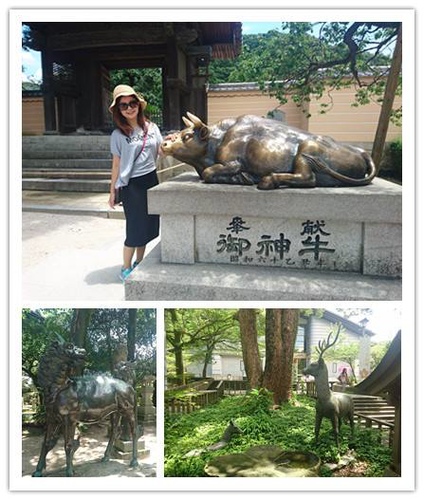 3-5-005.jpg - 2016慢遊九州