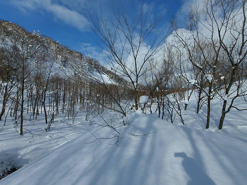 2023北海道 12 (12).jpg - 2023日本旅遊