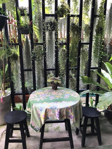 20180203-3 (24).jpg - 2018清邁食旅記