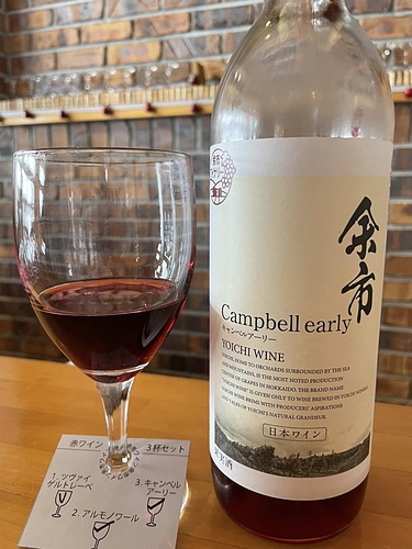 2023北海道20 (18).jpg - 2023日本旅遊