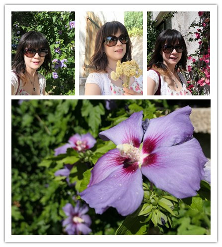 20170706永久花工廠 (41).jpg - 2017醉飲法義