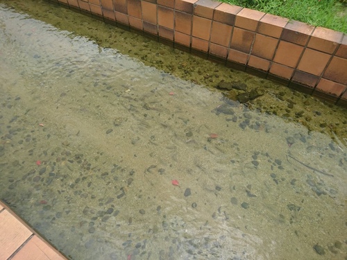 20160703 4-1 (17).jpg - 2016慢遊九州