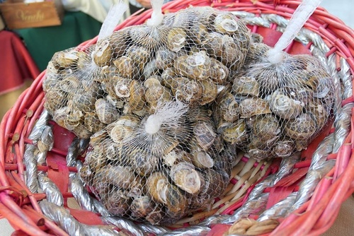 20170718ALBA市集 (24).jpg - 2017醉飲法義