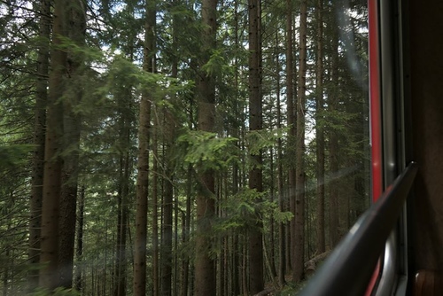 20170711蒙特維冰海 (30).jpg - 2017醉飲法義