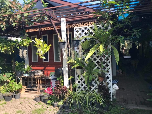 0210-4 (16).jpg - 2018清邁食旅記