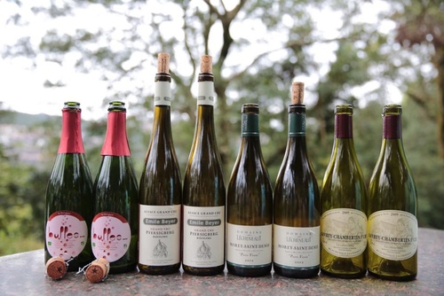 20170311獅頭山林品酒 (19).jpg - 2017年品酒誌