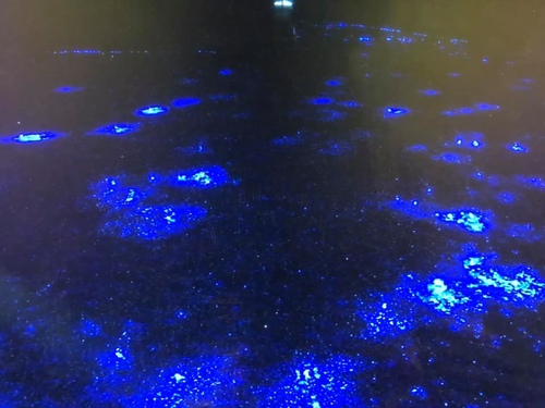 20200720北海坑道 (12).jpg - 2020-7卡蹓馬祖