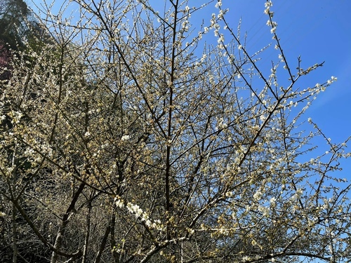 20210130 (6).jpg - 2021品酒誌