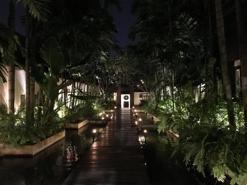 0206-7 (11).jpg - 2018清邁食旅記