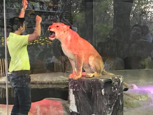 0207-6 (6).jpg - 2018清邁食旅記