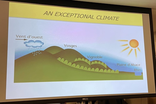 20221203 (6).jpg - 2022品酒誌