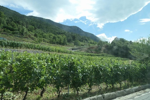 20170710Aosta酒莊 (2).jpg - 2017醉飲法義