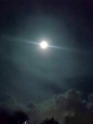 20150702 u7d50u5a5au6176 u51f1u6b4cu9999u6ab3 (24).jpg - 2015u5e74u54c1u9152u8a8c