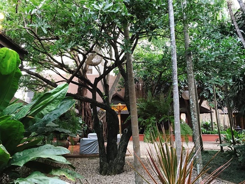 20180713-3 (21).jpg - 2018泰北放暑假