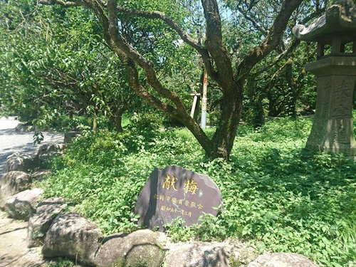 3-5-011.jpg - 2016慢遊九州