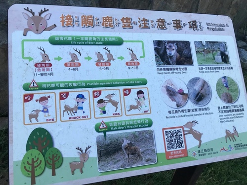 20200723大坵島 (8).jpg - 2020-7卡蹓馬祖