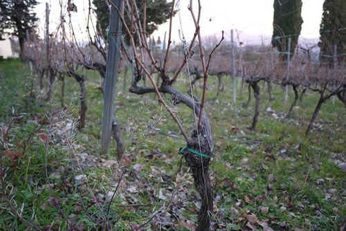 39 20150209u5c3cu65afu73bbu7483u74f6u9152u5e84(u9152u5e848)19.jpg - u9189u98f2u5357u6cd5