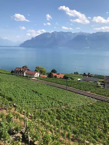 20190722瑞士湖濱旅館 (5).jpg - 2019醉飲法奧瑞