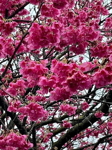 20220124 (20).jpg - 2022品酒誌