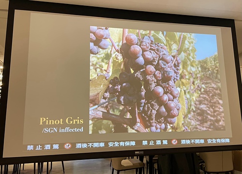 20221203 (11).jpg - 2022品酒誌