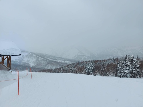 2023北海道8 (16).jpg - 2023日本旅遊