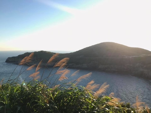 20200721靜伏鱷魚 (7).jpg - 2020-7卡蹓馬祖