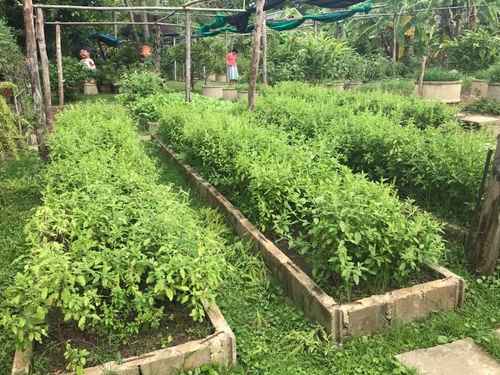 20180713-2 (7).jpg - 2018泰北放暑假