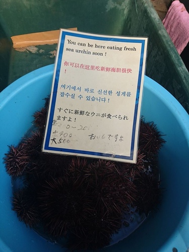 20160705 1-26 (12).jpg - 2016慢遊九州