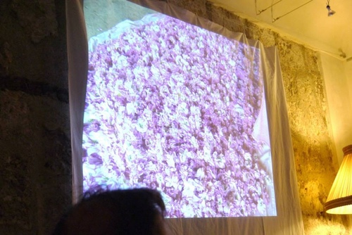 38.Grasseu62dcu8a2au8abfu9999u5e2b09.jpg - u9189u98f2u5357u6cd5