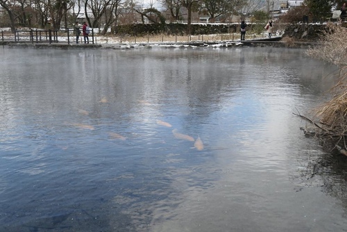20170123金鱗湖由布院散策 (29).jpg - 2017北九州溫泉