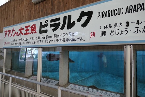 20170121地獄二 (13).jpg - 2017北九州溫泉