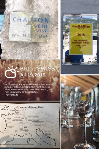 20190719瑞士酒莊1 (31).jpg - 2019醉飲法奧瑞