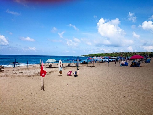 20150703u7d50u5a5au6176 u6d6au82b1u914du9999u6ab3 (27).jpg - 2015u5e74u54c1u9152u8a8c