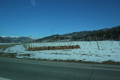 20150212 從尼斯回里昂26.jpg - 醉飲南法