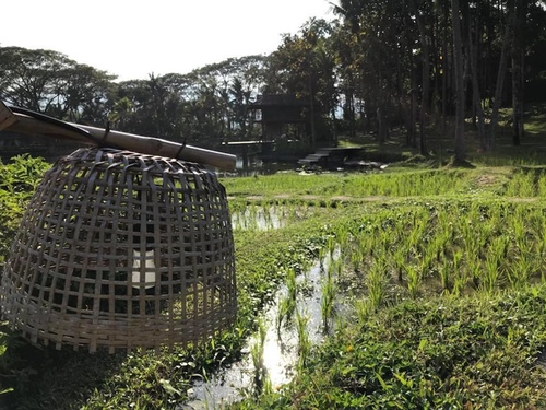 0208-4 (36).jpg - 2018清邁食旅記