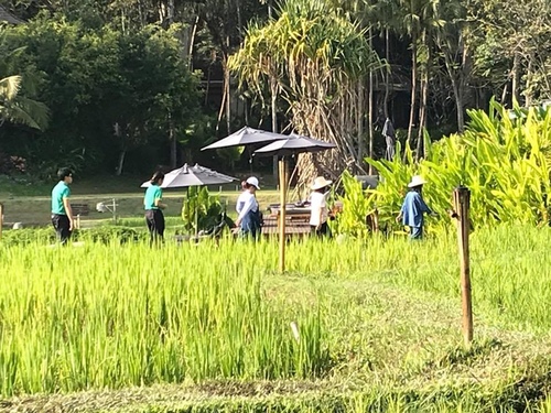 0208-4 (33).jpg - 2018清邁食旅記