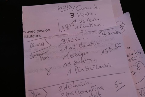 20170706永久花工廠 (39).jpg - 2017醉飲法義