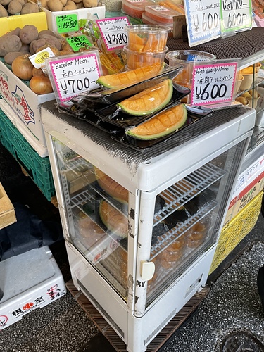 2023 北海道 28 (19).jpg - 2023日本旅遊