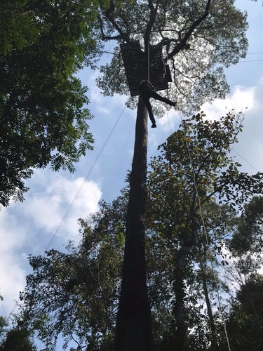 0205-2 (12).jpg - 2018清邁食旅記