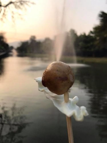 0203-7 (15).jpg - 2018清邁食旅記