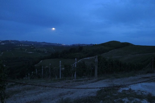 20170708 松露義大利麵 (29).jpg - 2017醉飲法義