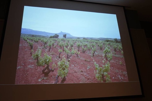 20151128酒神 西班牙 (15).jpg - 2015年品酒誌