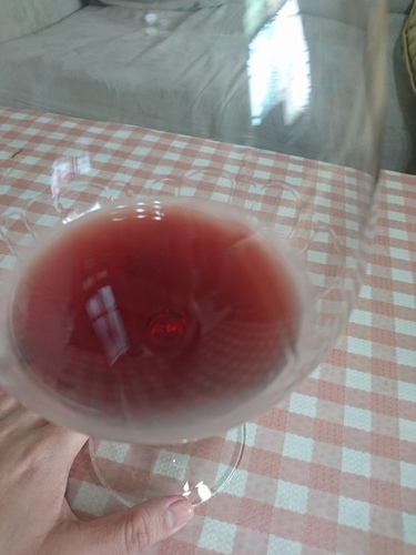 20160405David 布根地 (2).jpg - 2016年品酒誌