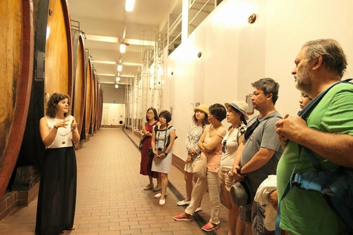 20170709 BAROLO酒莊 (19).jpg - 2017醉飲法義