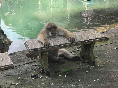 20180705-2 (21).jpg - 2018泰北放暑假