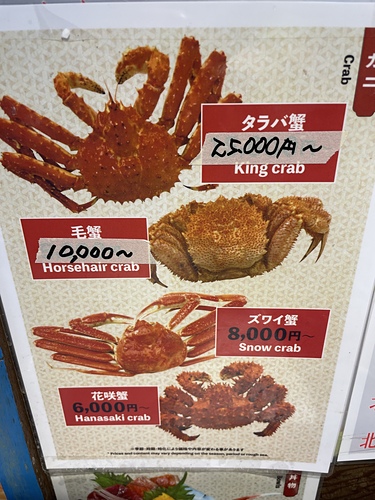 20230209 北海道 (12).jpg - 2023日本旅遊