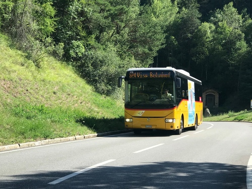 20190719歐洲最高葡萄園 (14).jpg - 2019醉飲法奧瑞