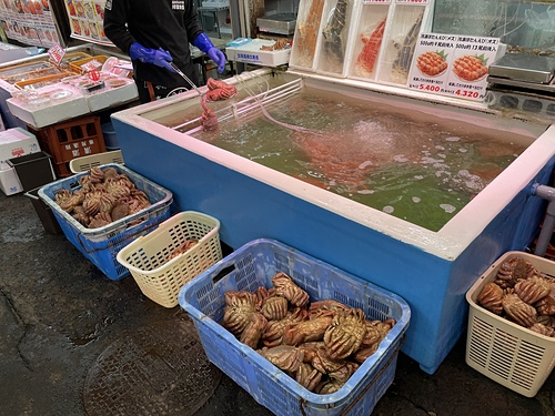 20230209 北海道 (11).jpg - 2023日本旅遊